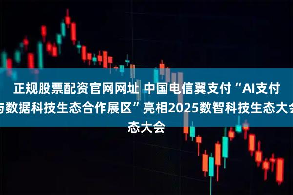 正规股票配资官网网址 中国电信翼支付“AI支付与数据科技生态合作展区”亮相2025数智科技生态大会