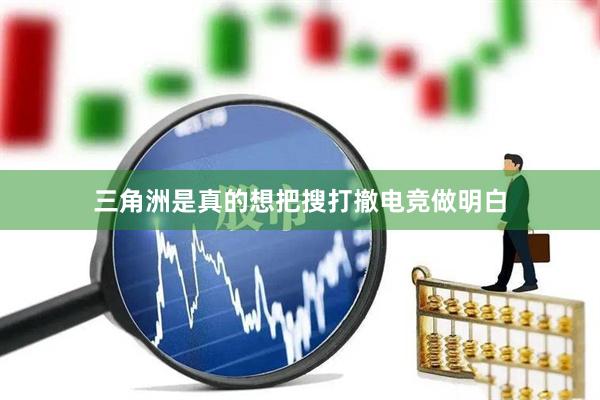 三角洲是真的想把搜打撤电竞做明白